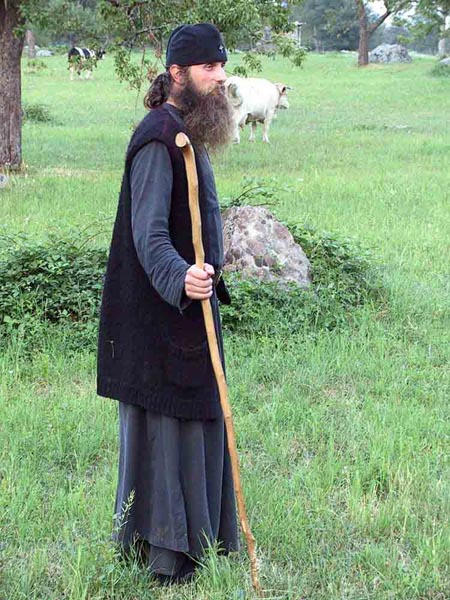 Fr. Daniel taking the cows to the field, Visoki Decani Monastery, Serbia