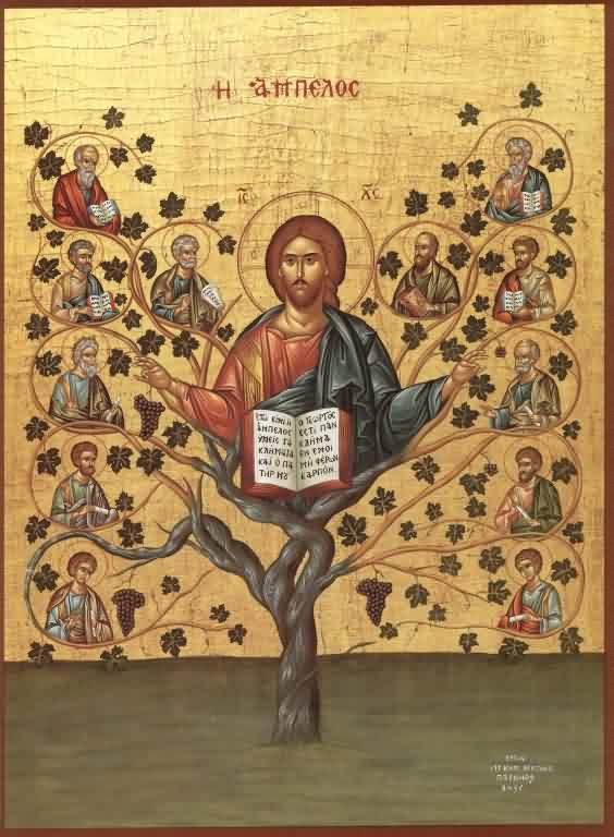 'I am the vine, ye are the branches'