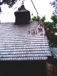 The roof of the old church
