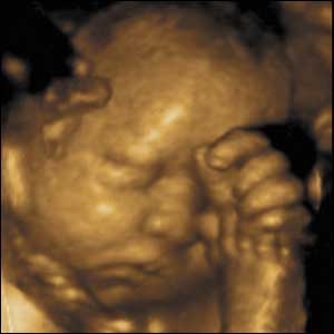 Chiar daca apucarea cu mainile incepe de timpuriu, ea devine mai bine conturata in ultimul trimestru al sarcinii. Bebelusii isi apuca mainile, picioarele, degetele de la maini si picioare, si cel mai des, cordonul ombilical.