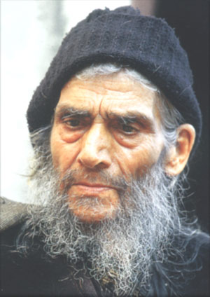 Elder Savvas (Kellion of Saint Nicholas at Provata) 