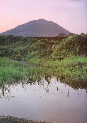 View of Mount Tabor