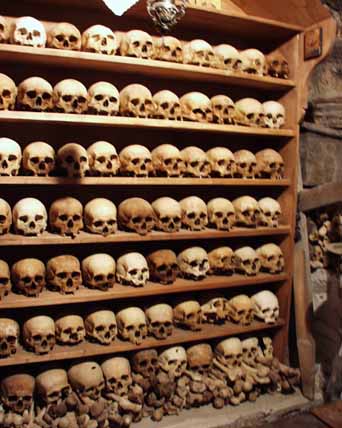 Shelves of skulls