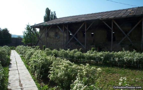 Barnova Monastery, Iasi, Romania (23)