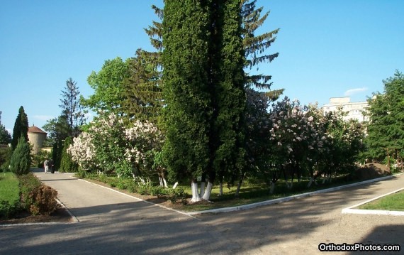 Golia Monastery, Iasi, Romania (11)