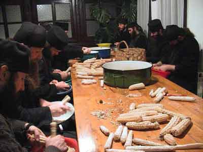 Cleaning corn, Visoki Decani Monastery monks, Serbia