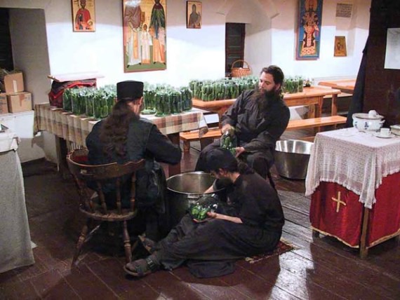 Conservation of cucambers, Visoki Decani Monastery monks, Serbia