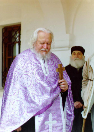 Fr. Teofil Paraian - Brancoveanu Monastery, Sambata de Sus, Romania (8)