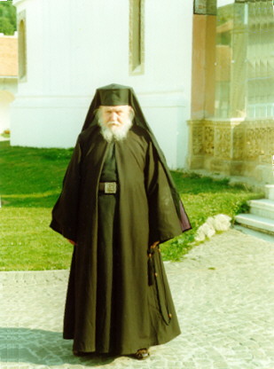 Fr. Teofil Paraian - Brancoveanu Monastery, Sambata de Sus, Romania (9)