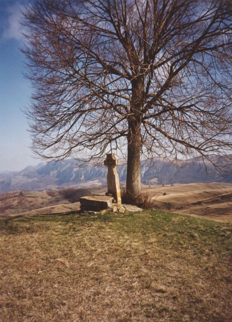 Cross made from oak tree (spring)