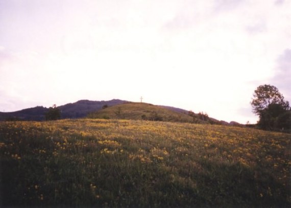 Golgotha Cross (flowers)