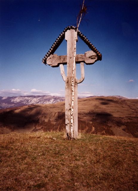 Golgotha Cross (birch tree)