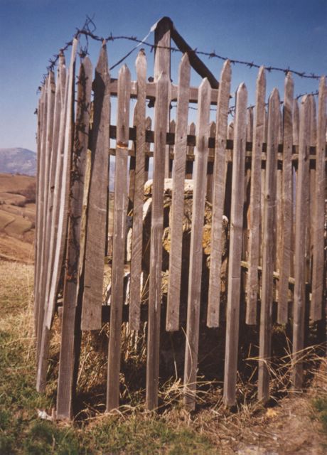 Enclosed Crosses